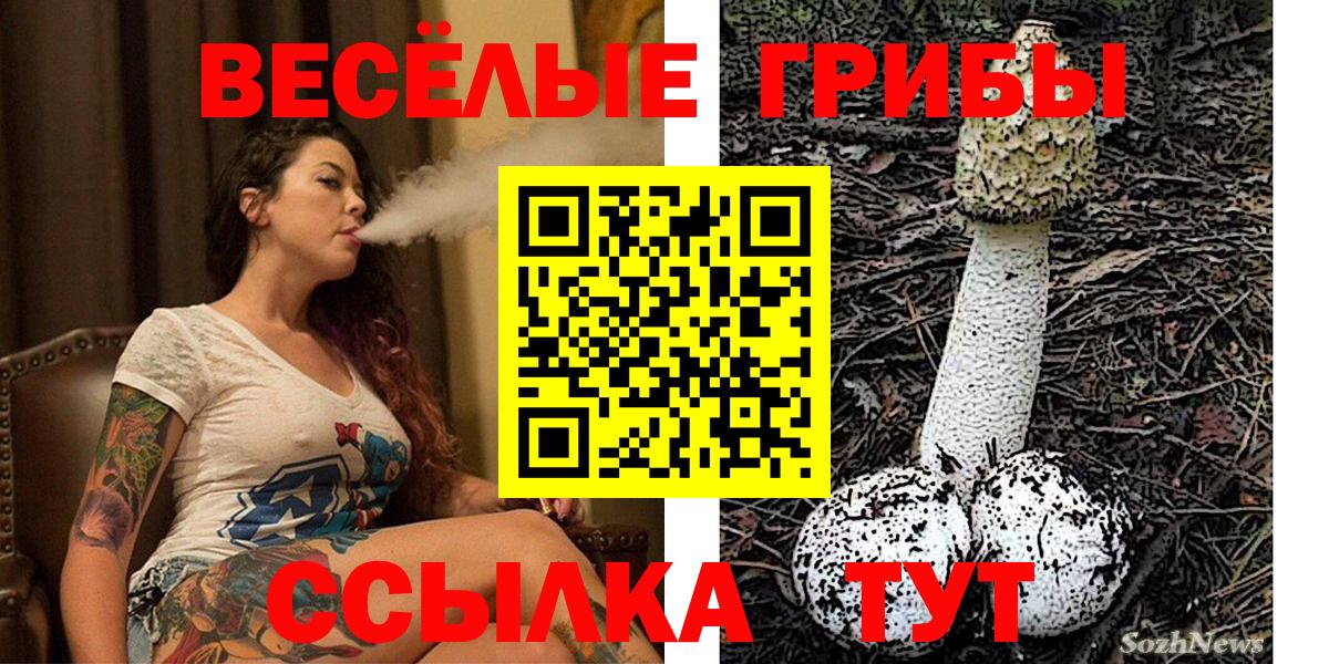 Псилоцибиновые грибы Psilocybine cubensis Прокопьевск